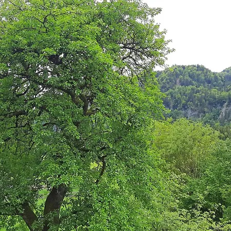 Zuhaus Auerhof * Aschau im Chiemgau